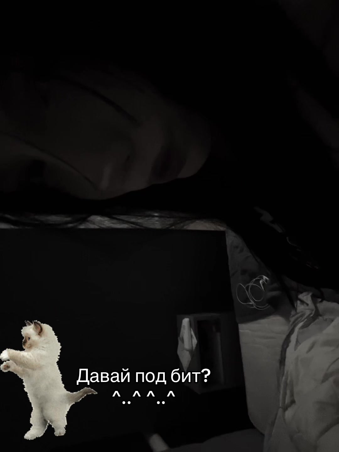 @ksesha