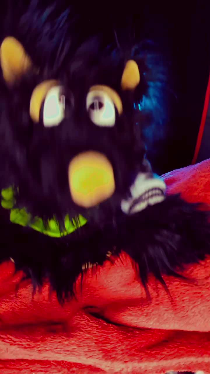 @Rocko-DerWolf