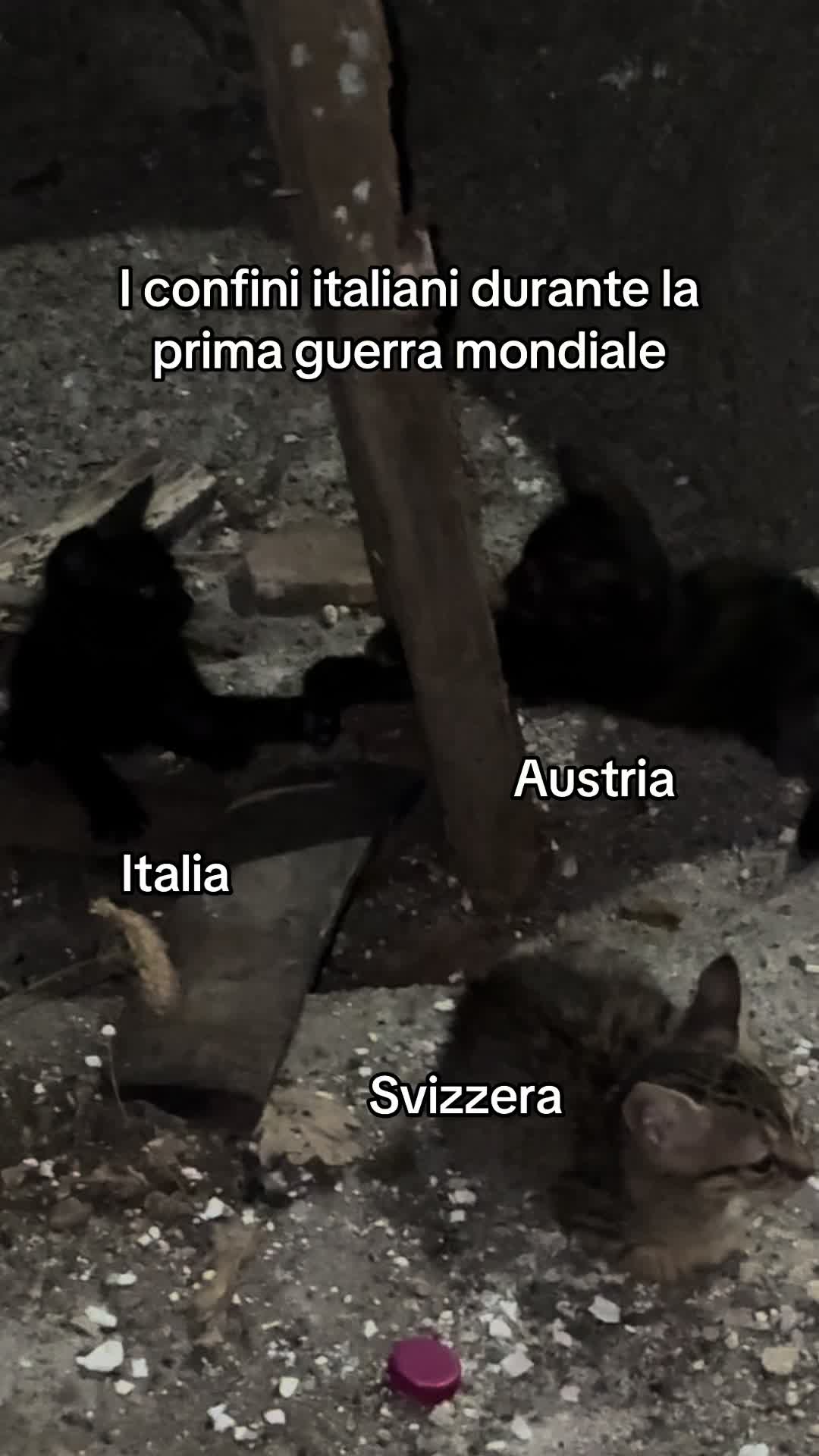 @Brigaele