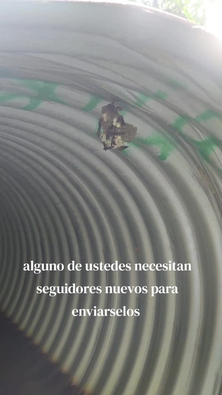 @Alexander menjivar