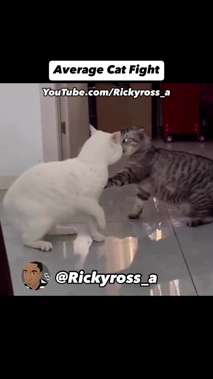 @Rickyross_a