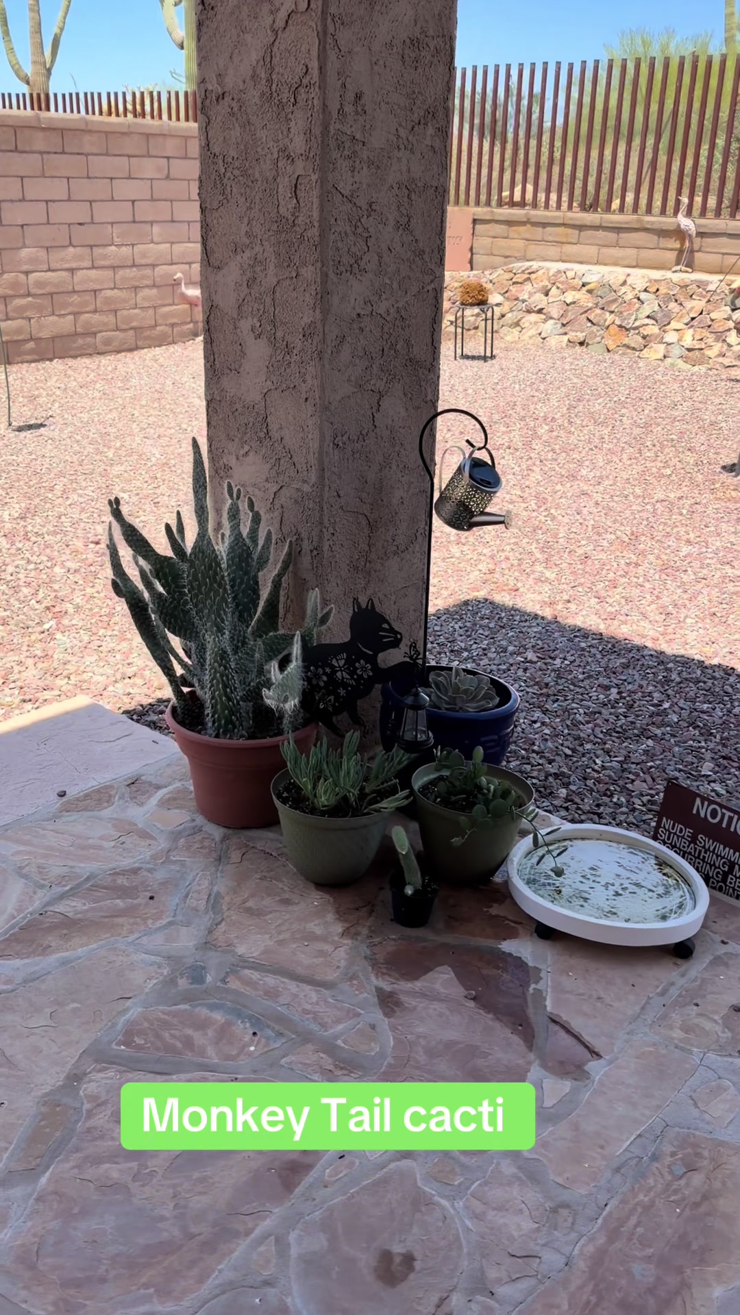 @desertgirly14