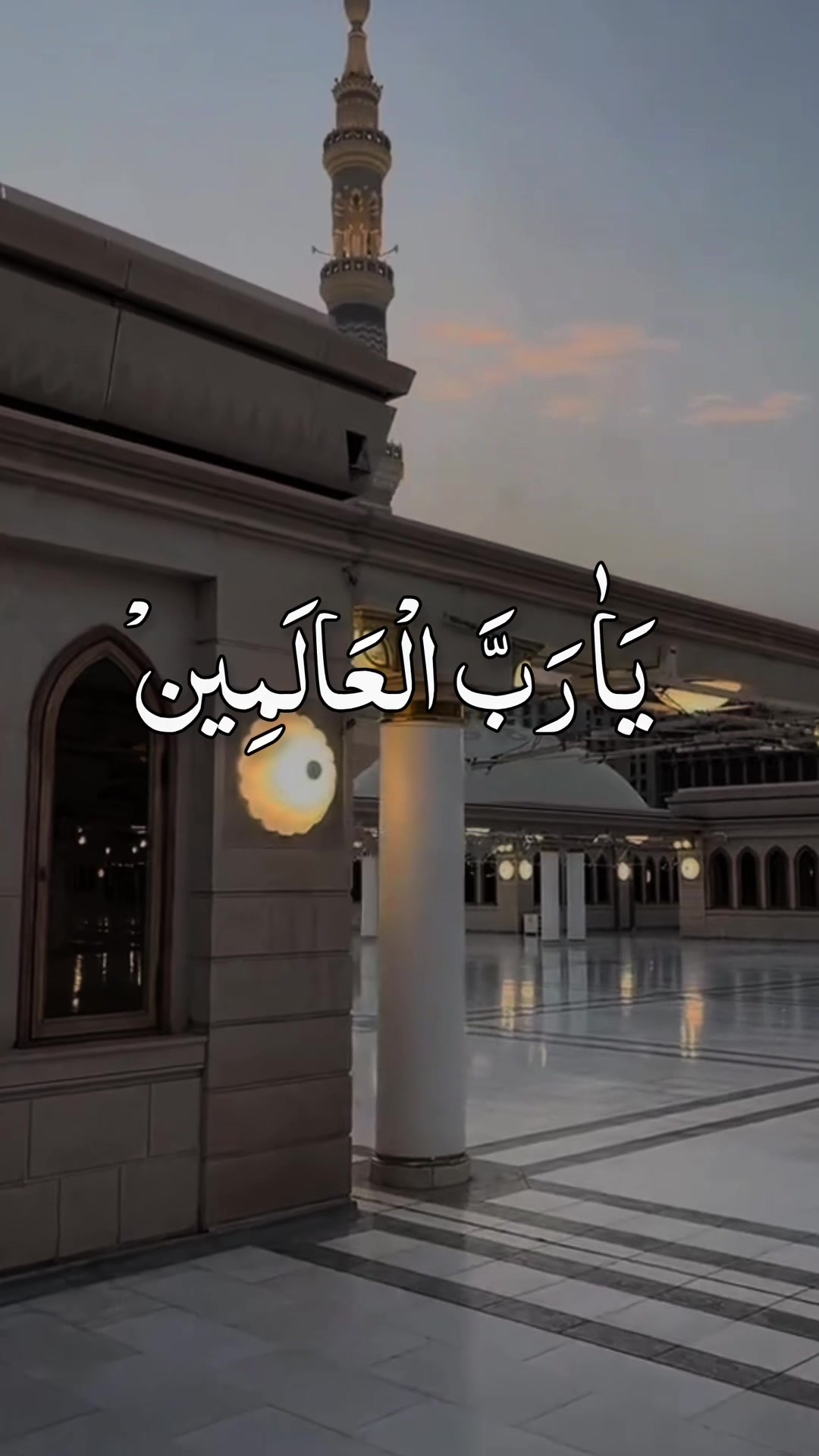 @❣️ Words of Allah ❣️