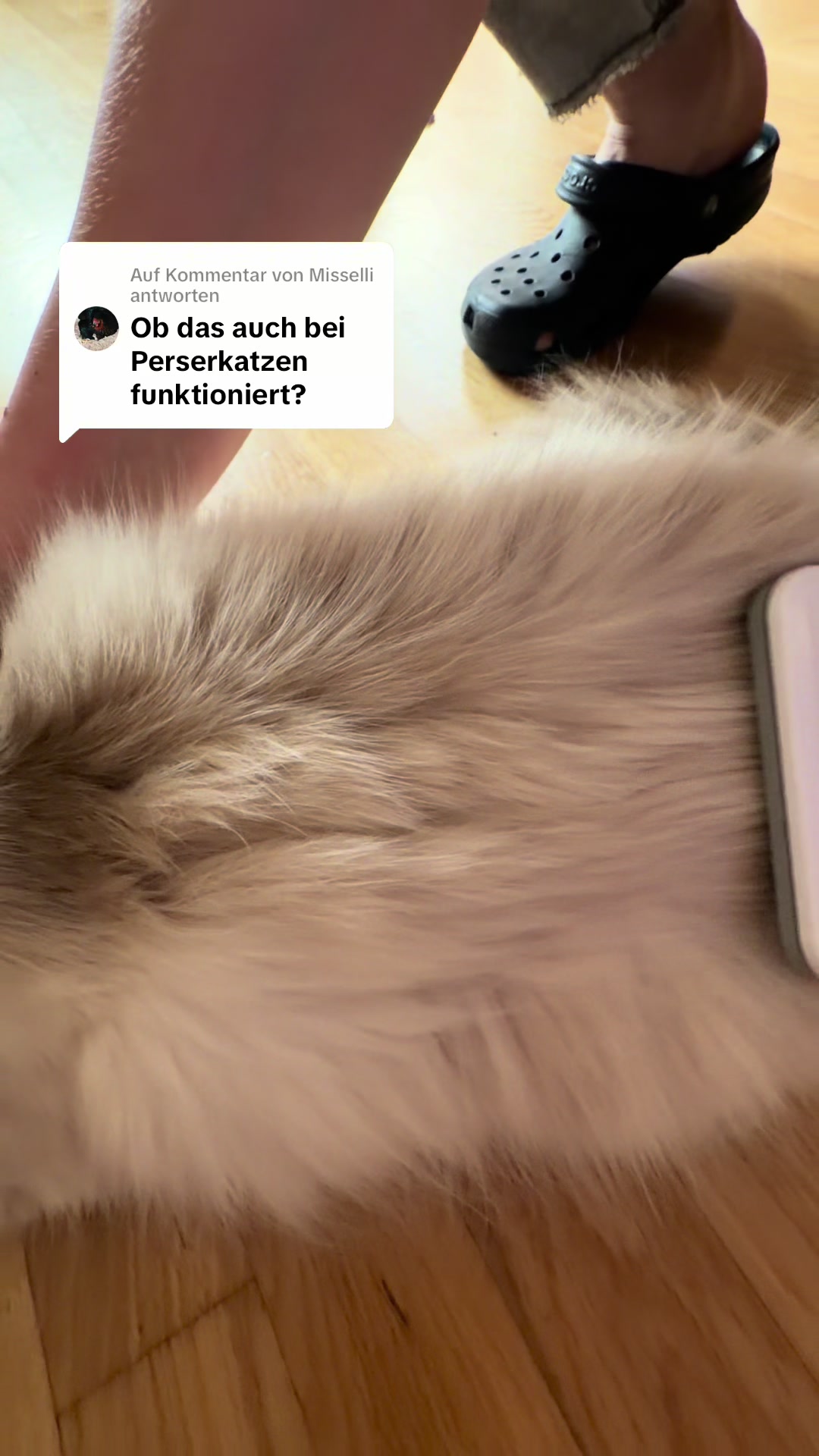 @Braunici