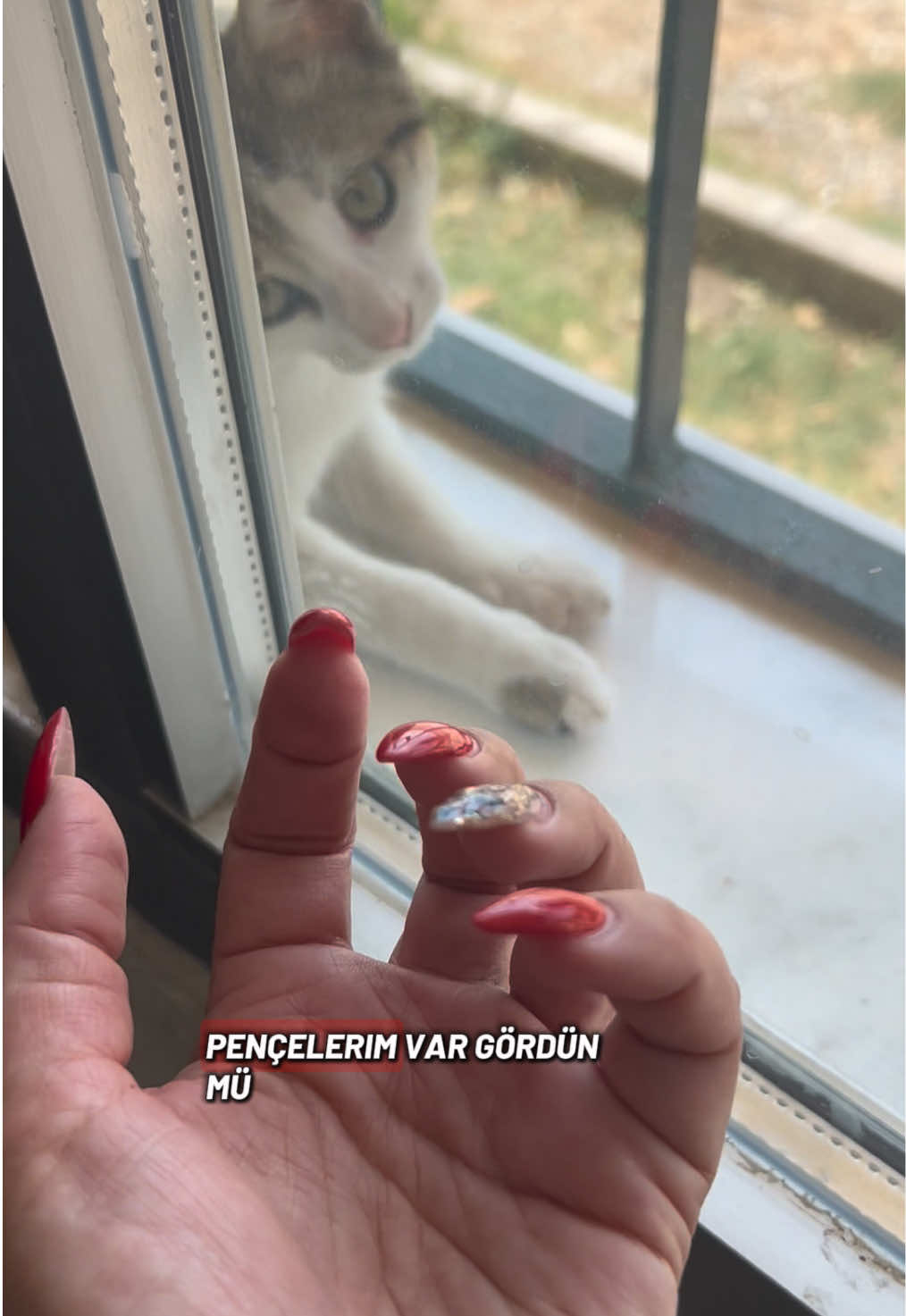 @Kılıç Kraliçesi