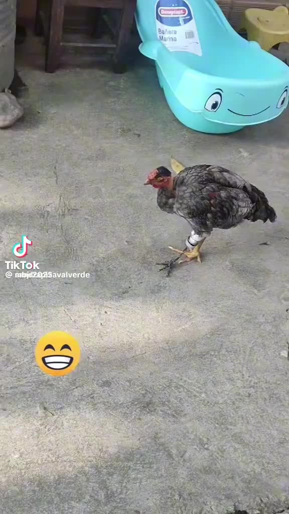 @Alexander✅️