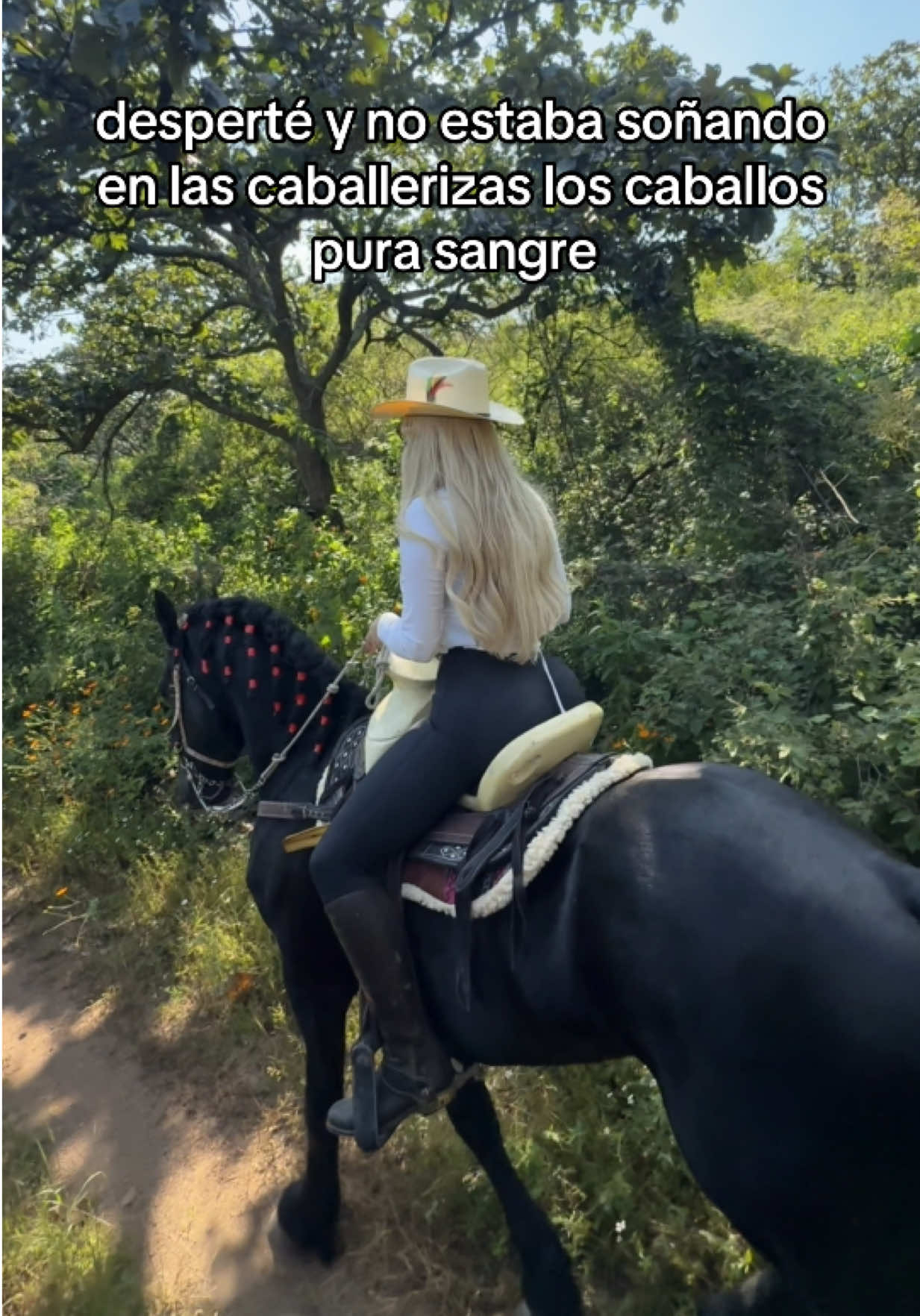 @PMGA