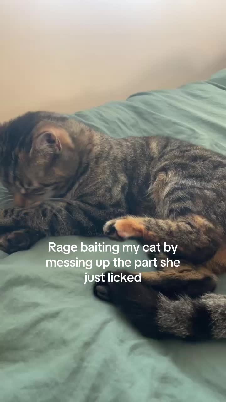 @lanaaa