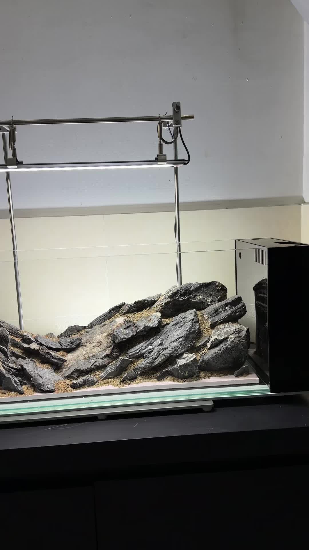 @BachPhiAquascape