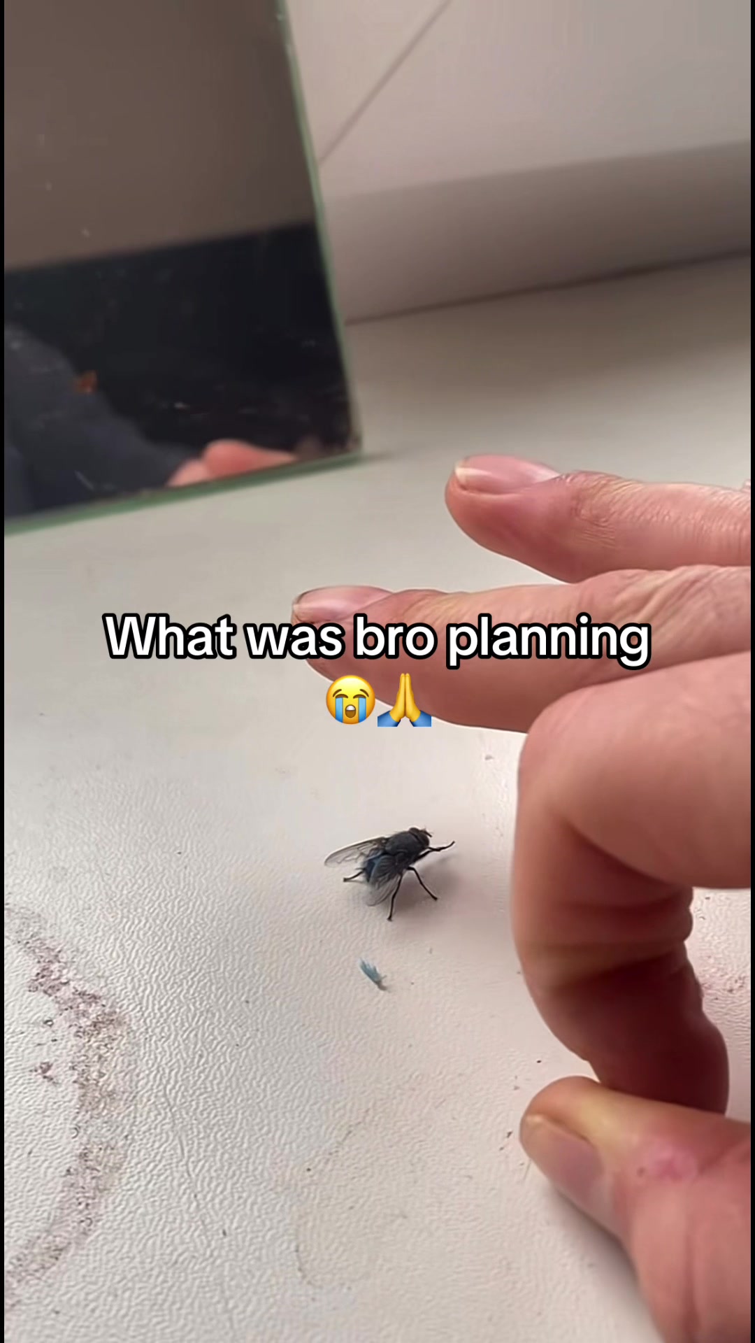 @Hxbitz