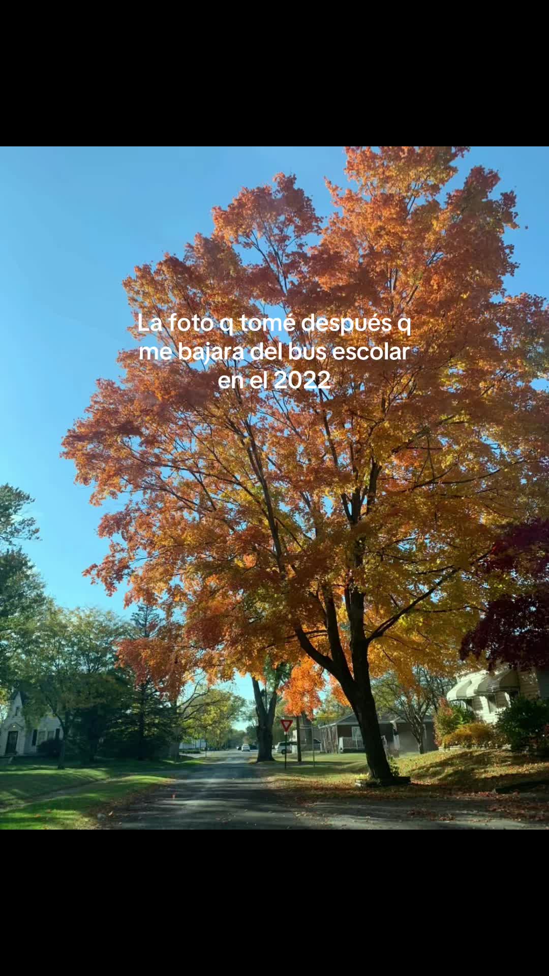 @Carlitos Sv 🇸🇻