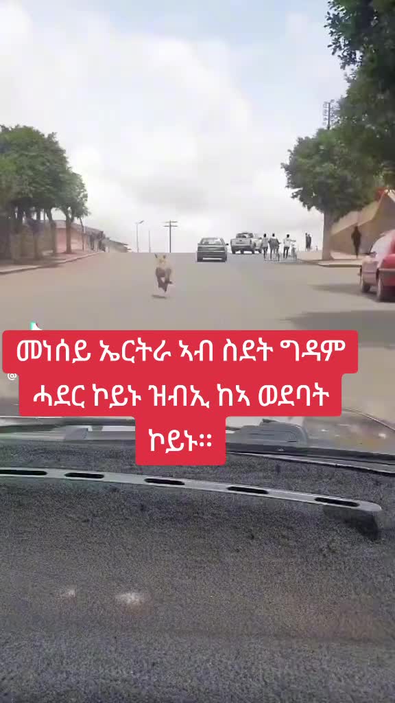 @Rahel Girmay