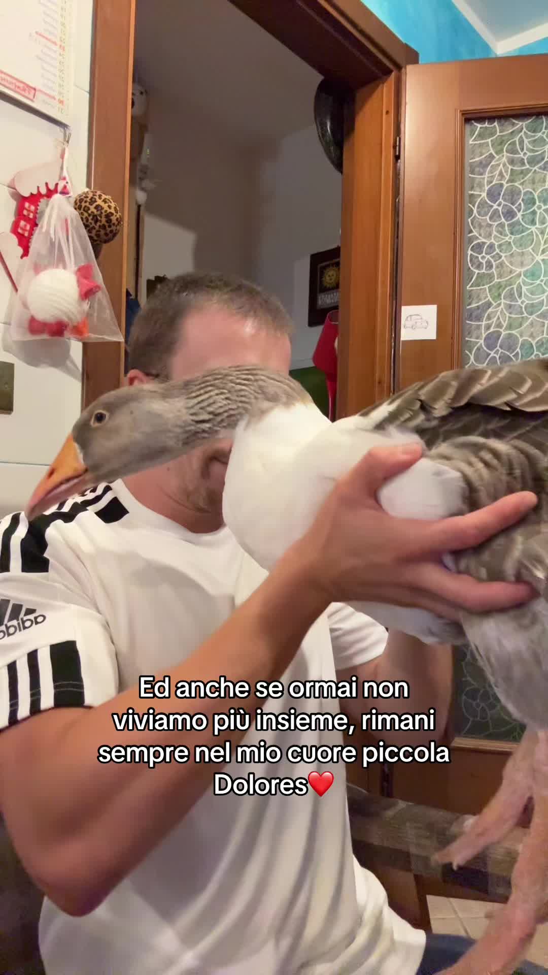 @AlbertoMaurizi