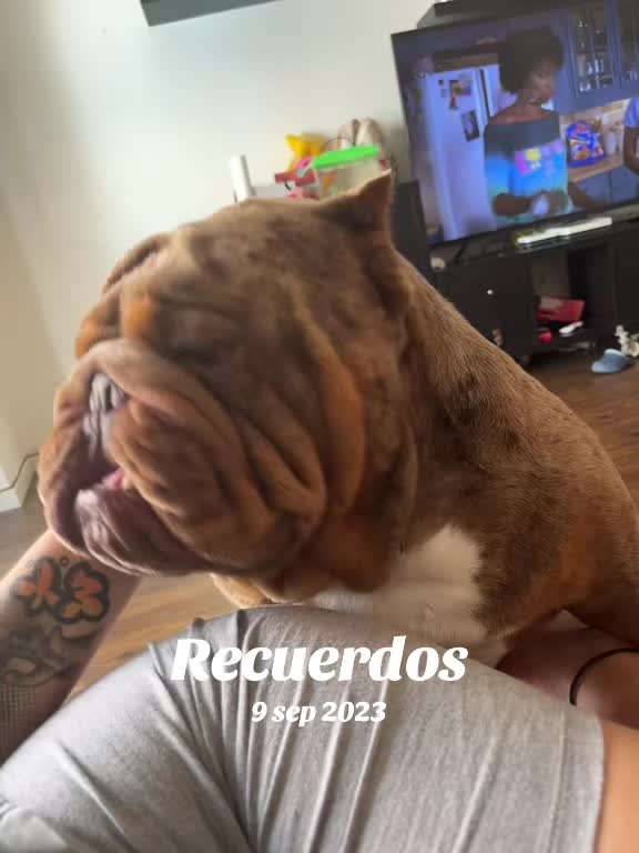 @Nataliapiecuch_