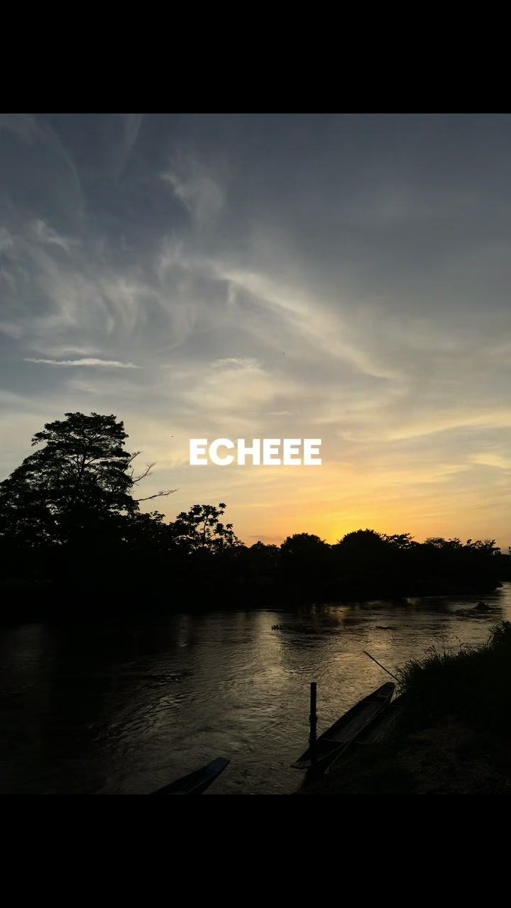 @🐘