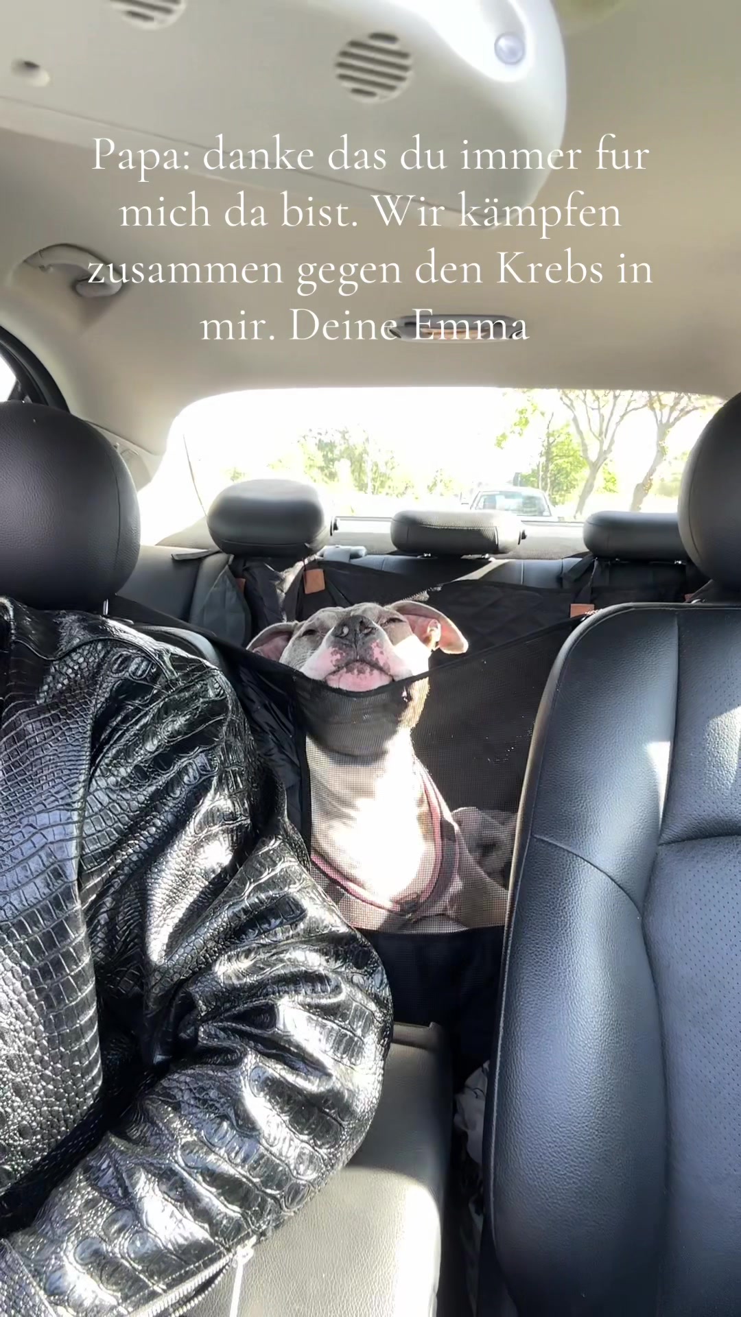 @Patric&Emma🐶