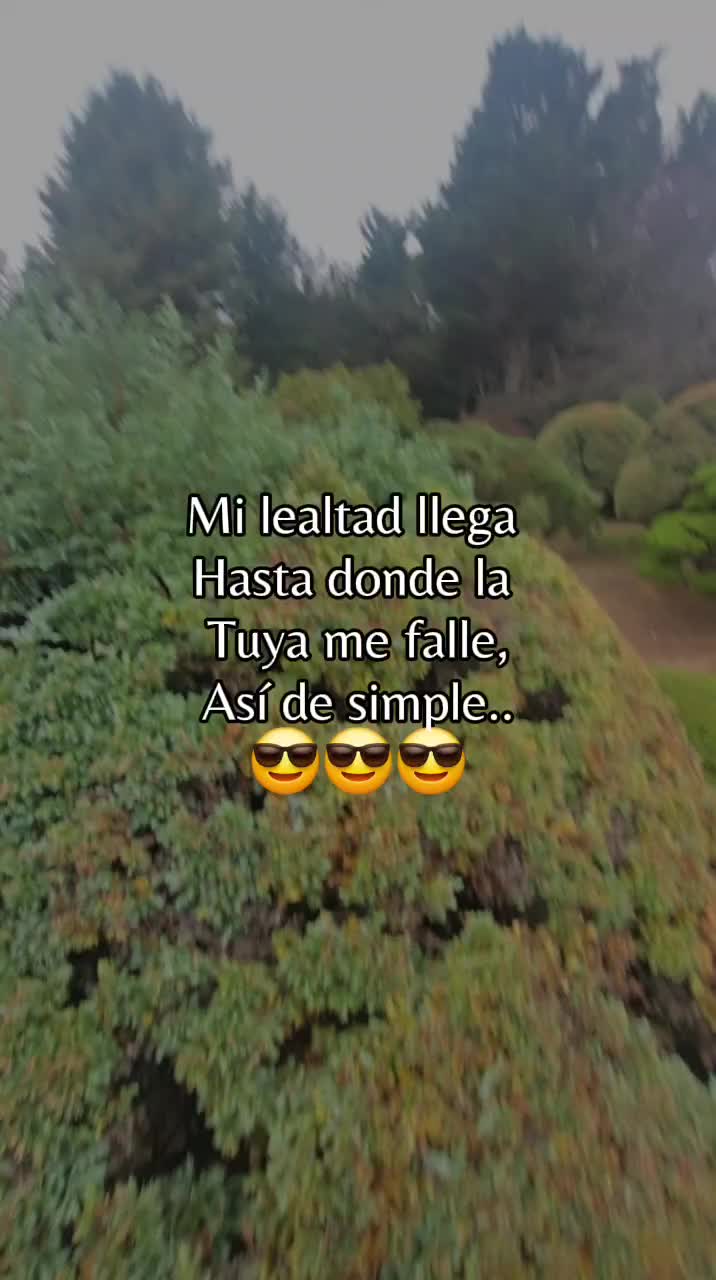 @🪐⃝𝒵 &Yuml;&Oslash;V&Auml;