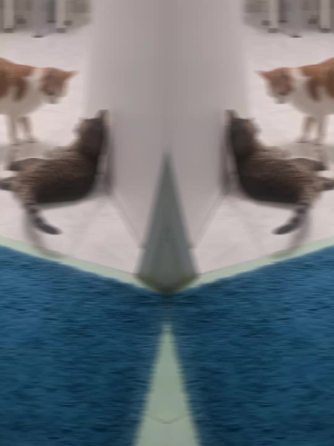 @titty