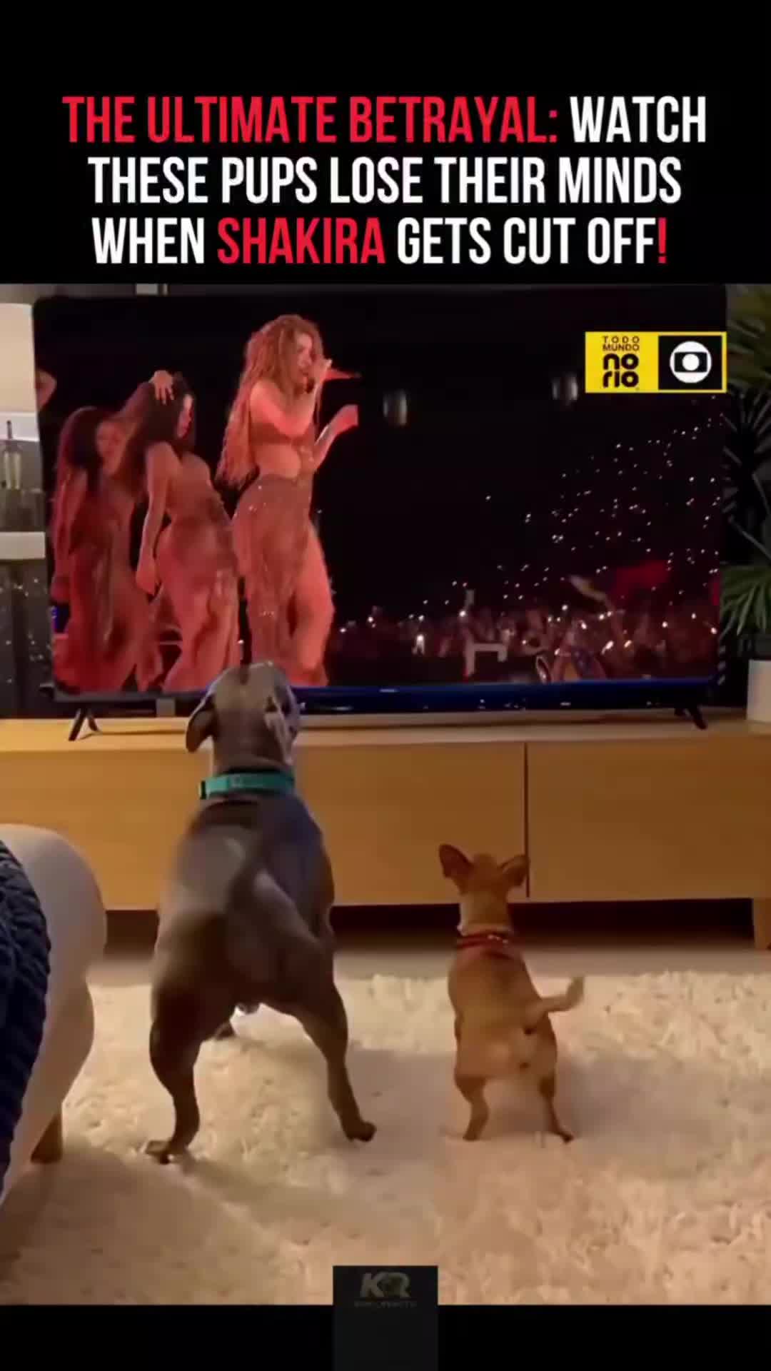@gregB2212