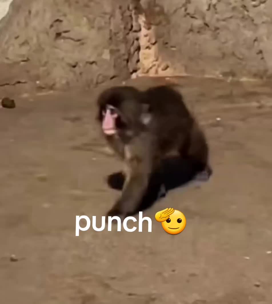 @Punch baby