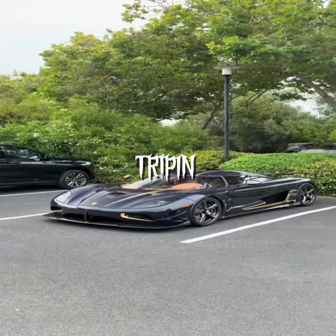 @bryce.trip1n