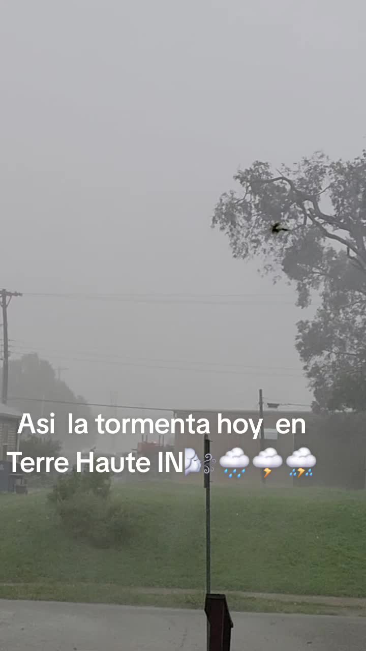@Lucero Gir&oacute;n