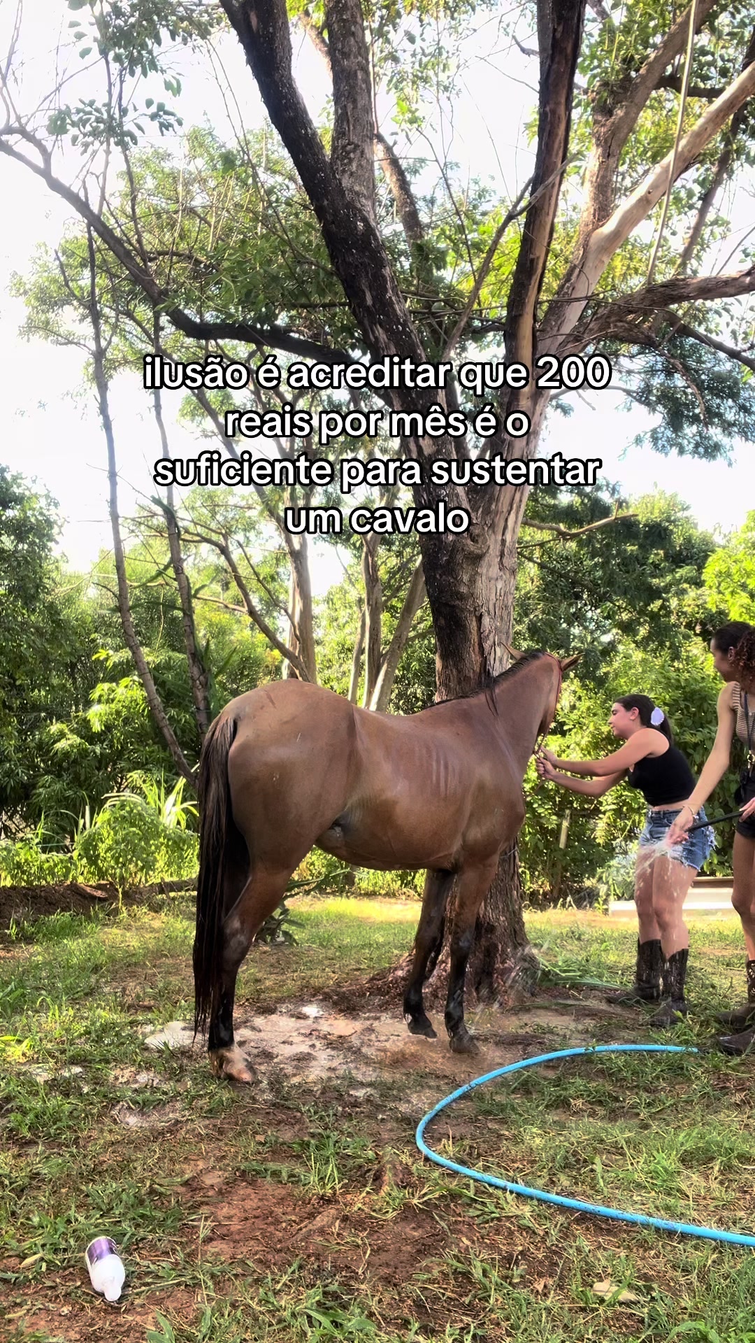 @dudxx