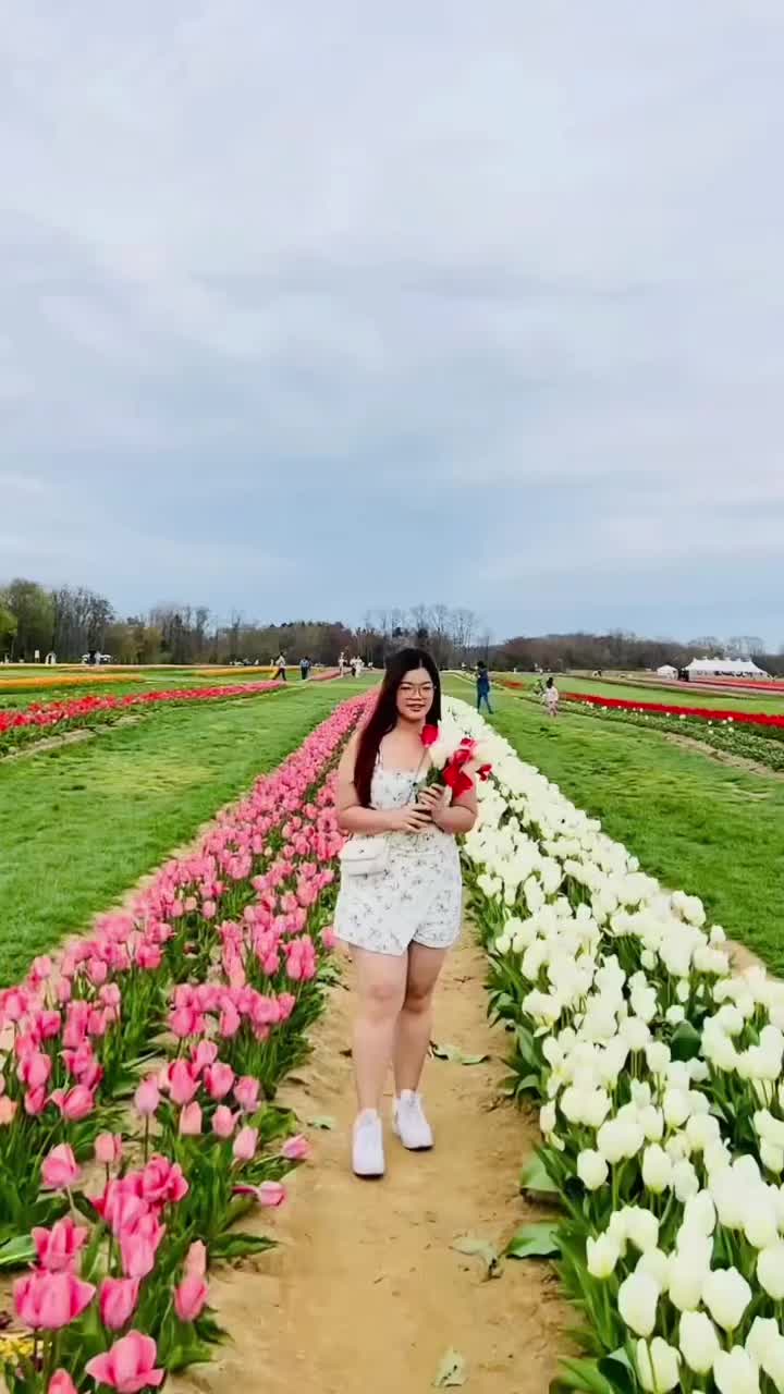 @Priyasi..❤️