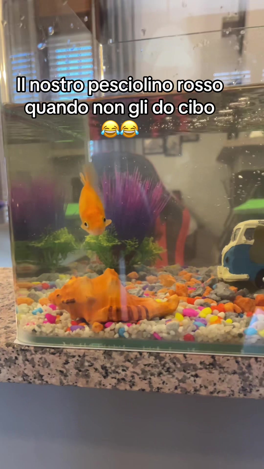 @Giusy Chil&agrave;🏳️&zwj;🌈