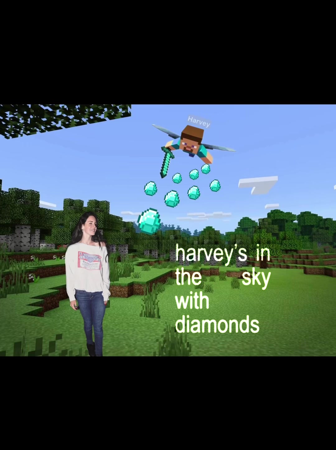 @du1mmy ‹𝟹