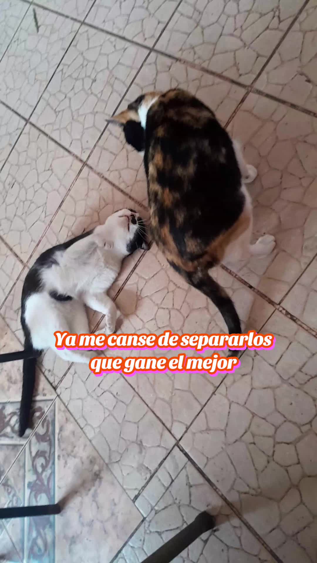 @•Estefania•