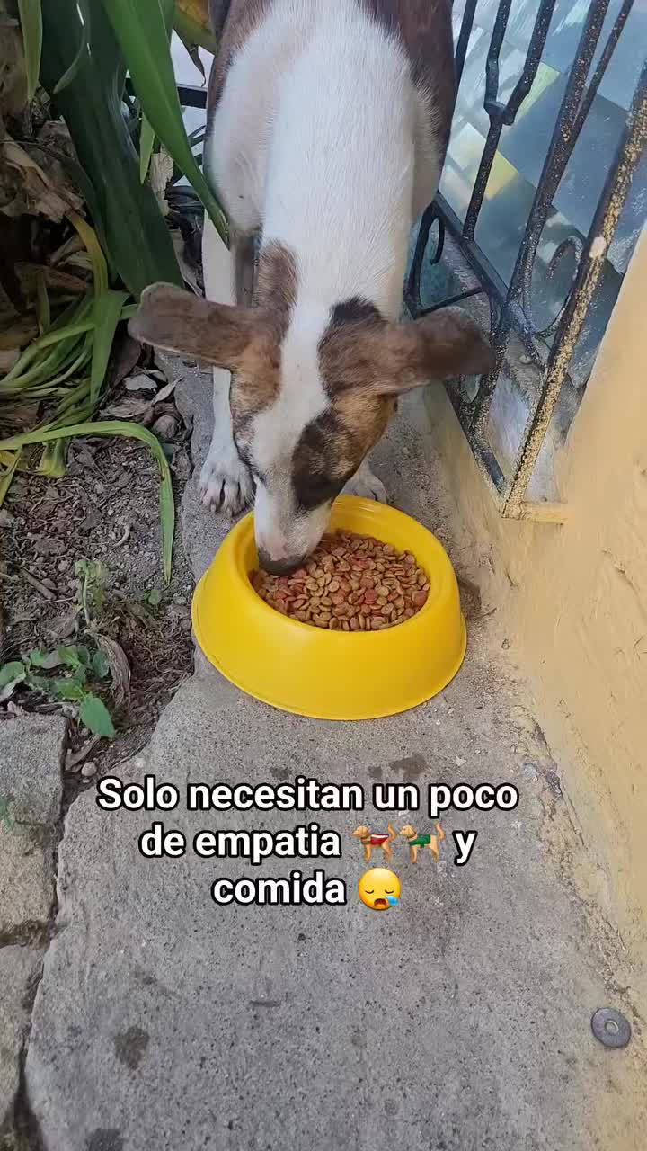 @𝕃𝕚𝕤𝕤 ℝ𝕖yes🇸🇻