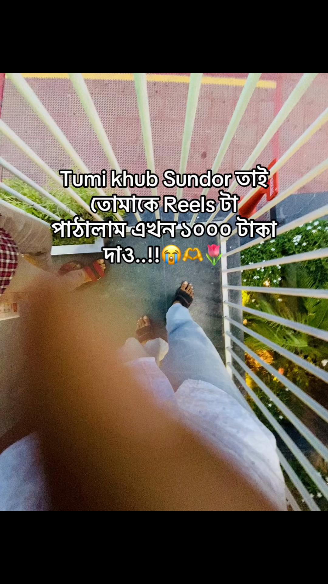 @টিক~টিকি