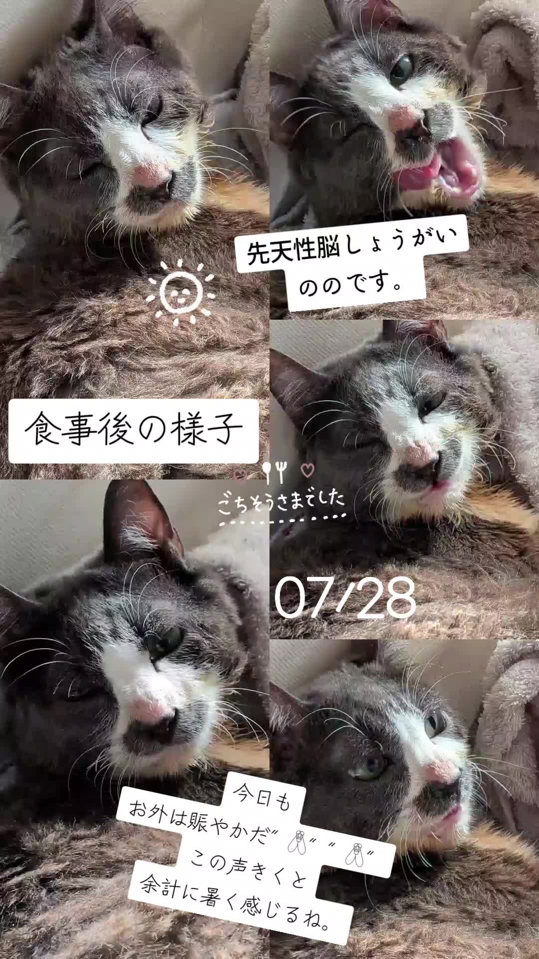 @てんきな