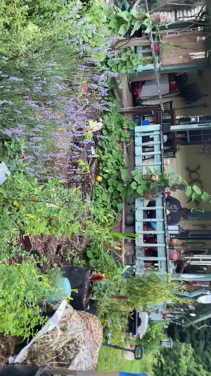 @Cindy loves nature