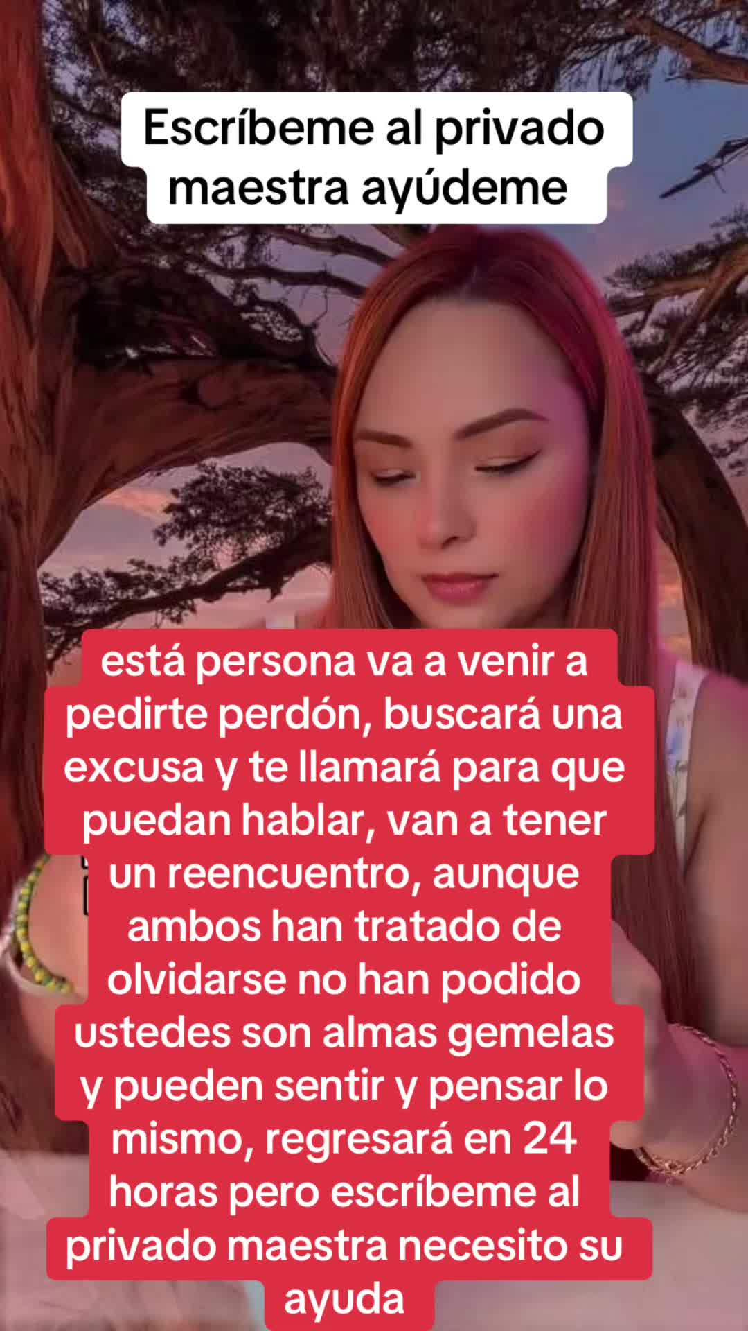 @Gran Suárez