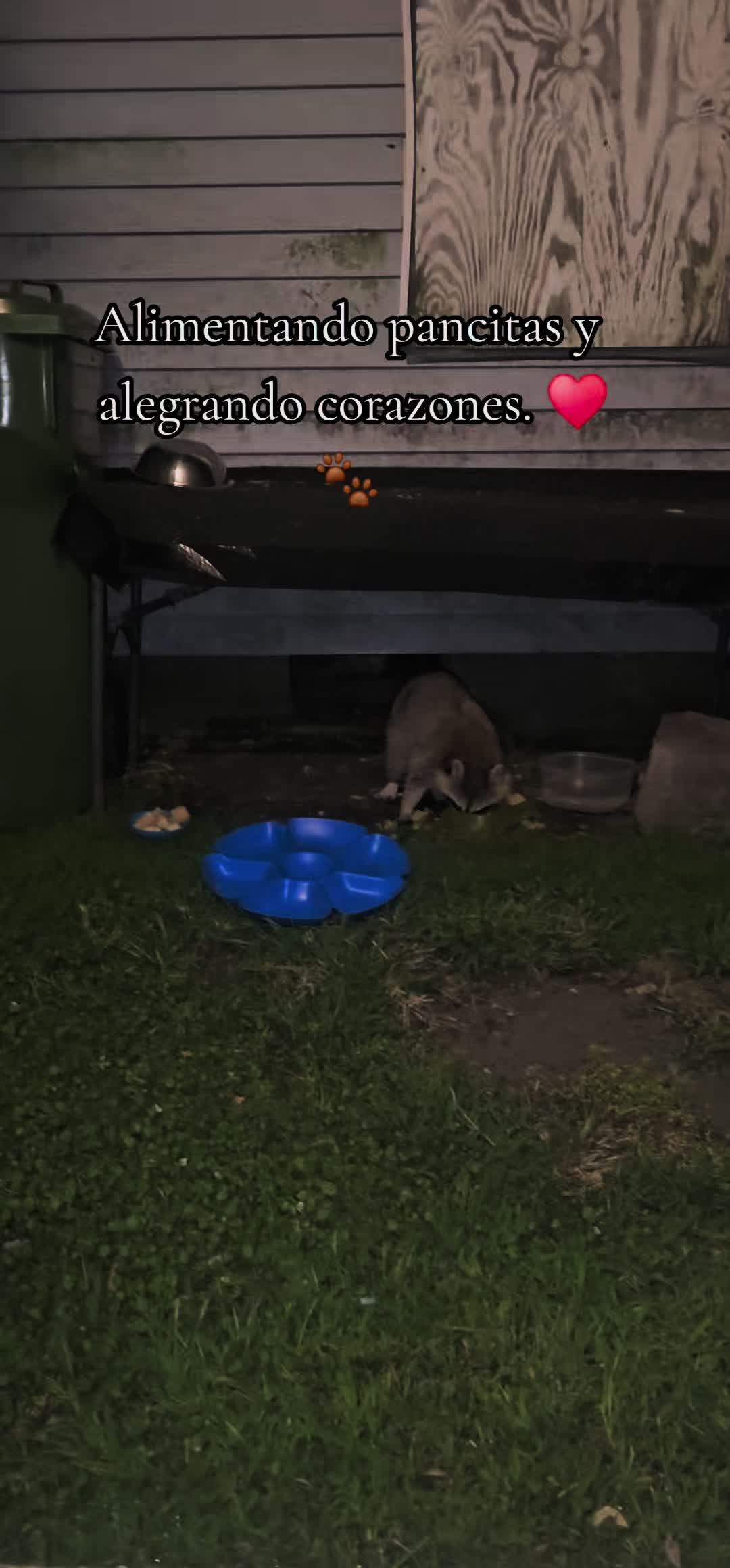 @🇲🇽Guli.Carrada 🐈⬛