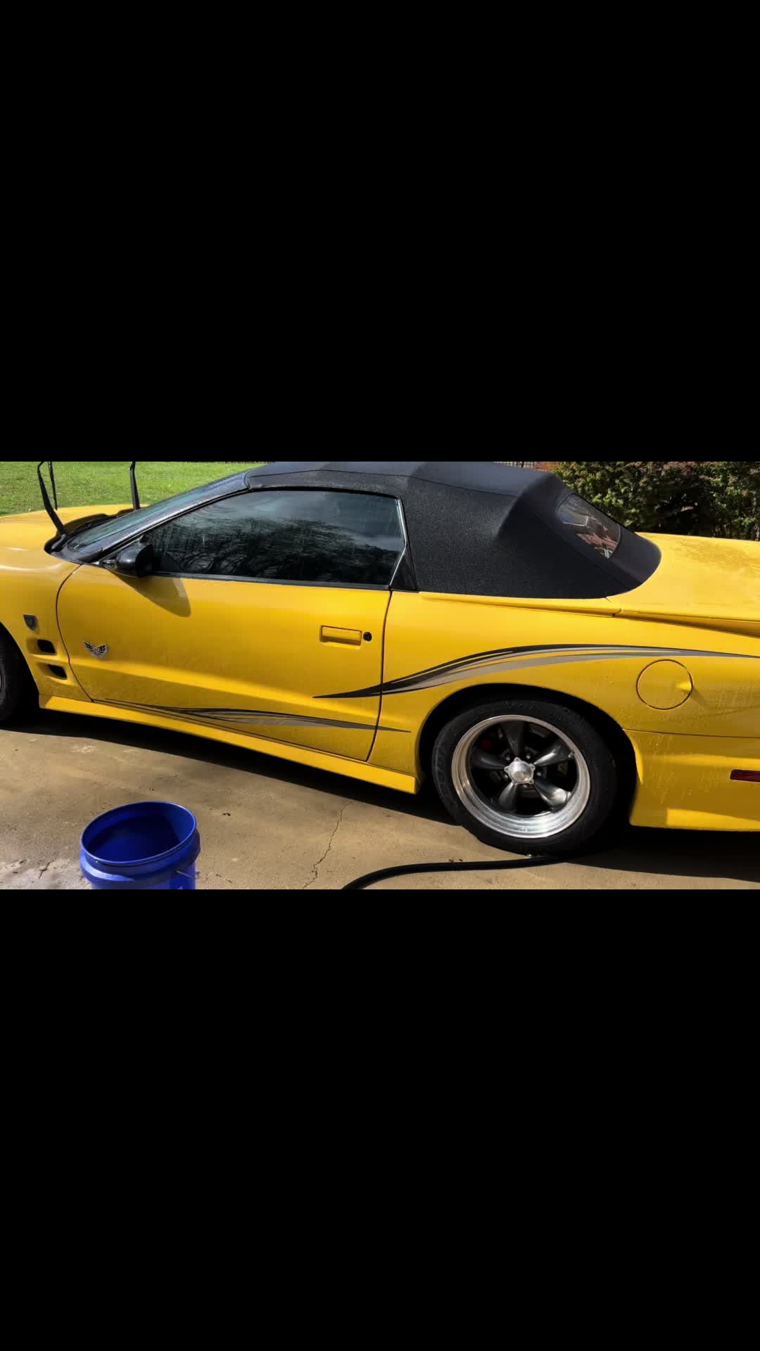 @michaelgregory_flex