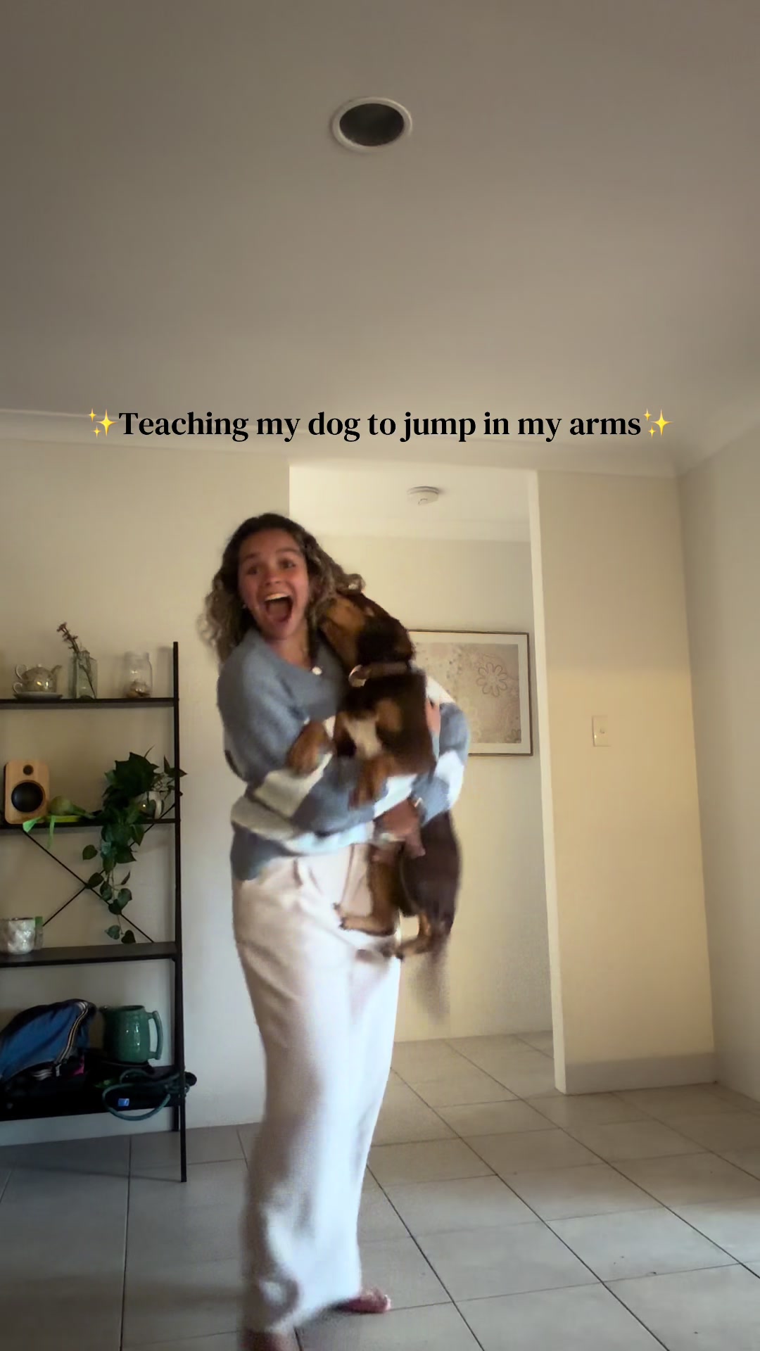 @taylahjessenn
