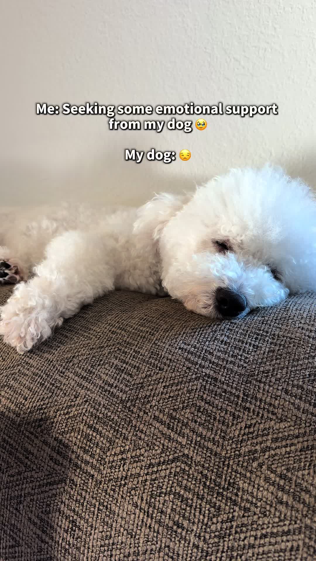 @sammy__and__gabby