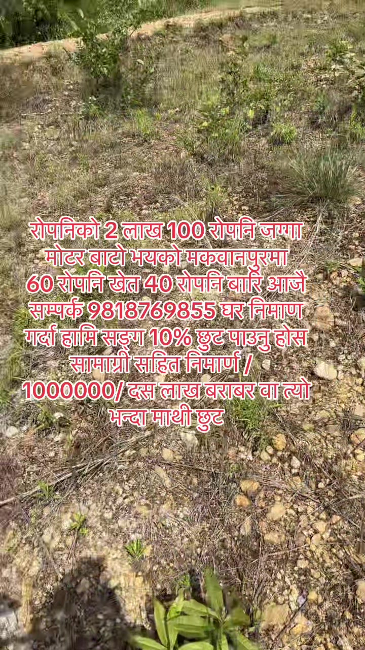 @9818769855
