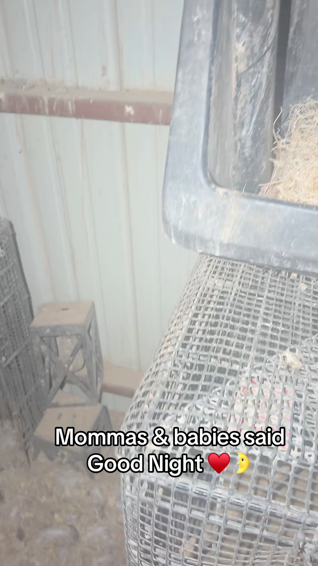@NonniesFunnyFarm