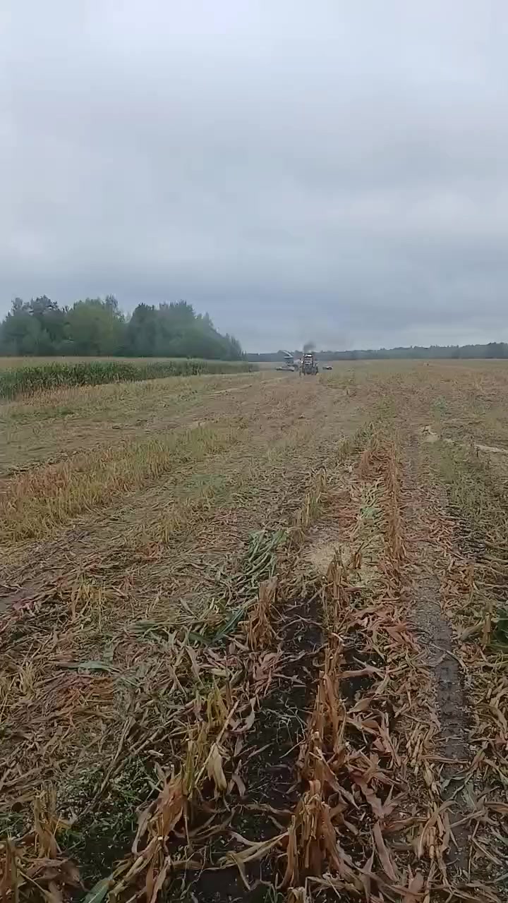 @Александр