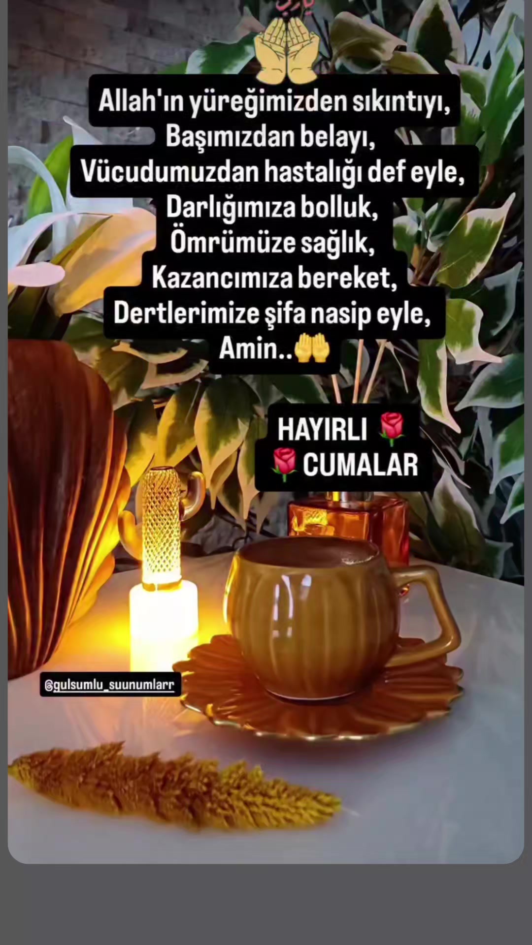 @Sevda çiçeği
