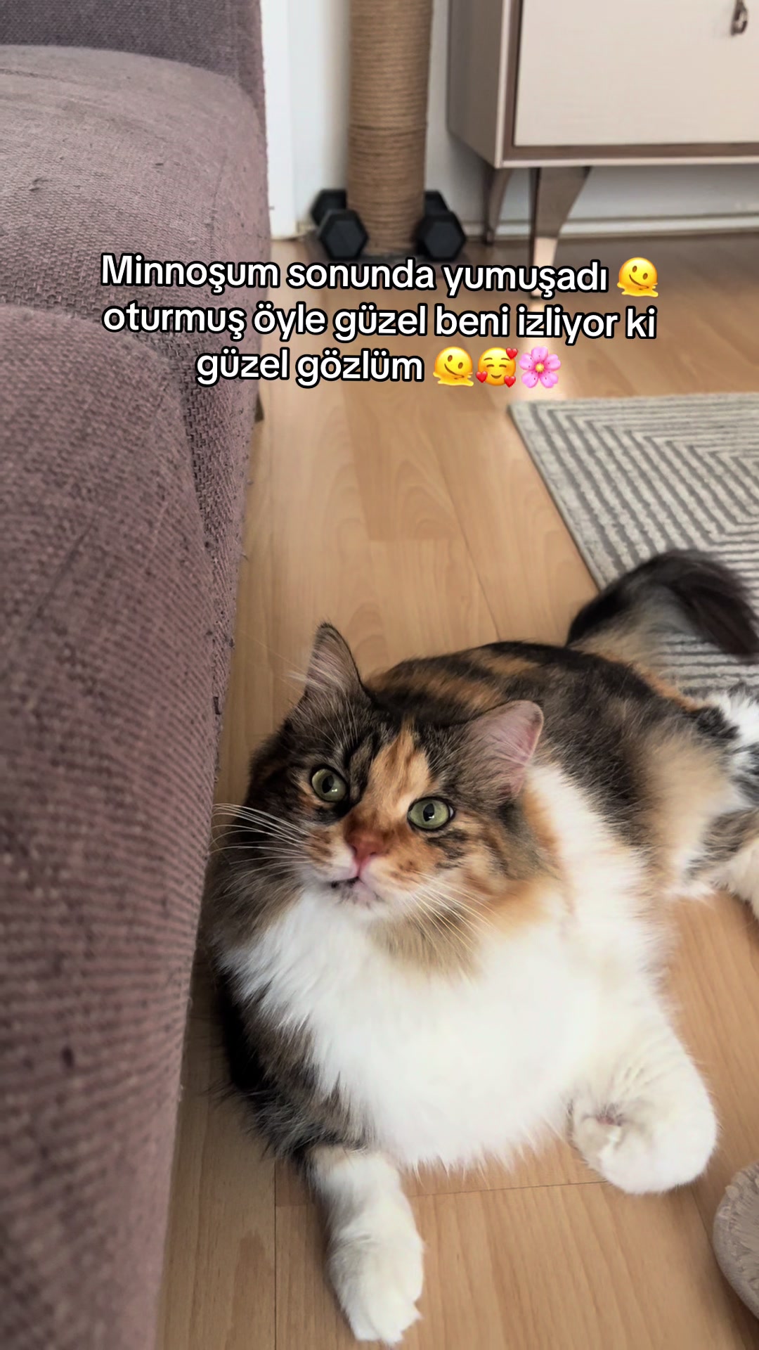 @konusankediminnos