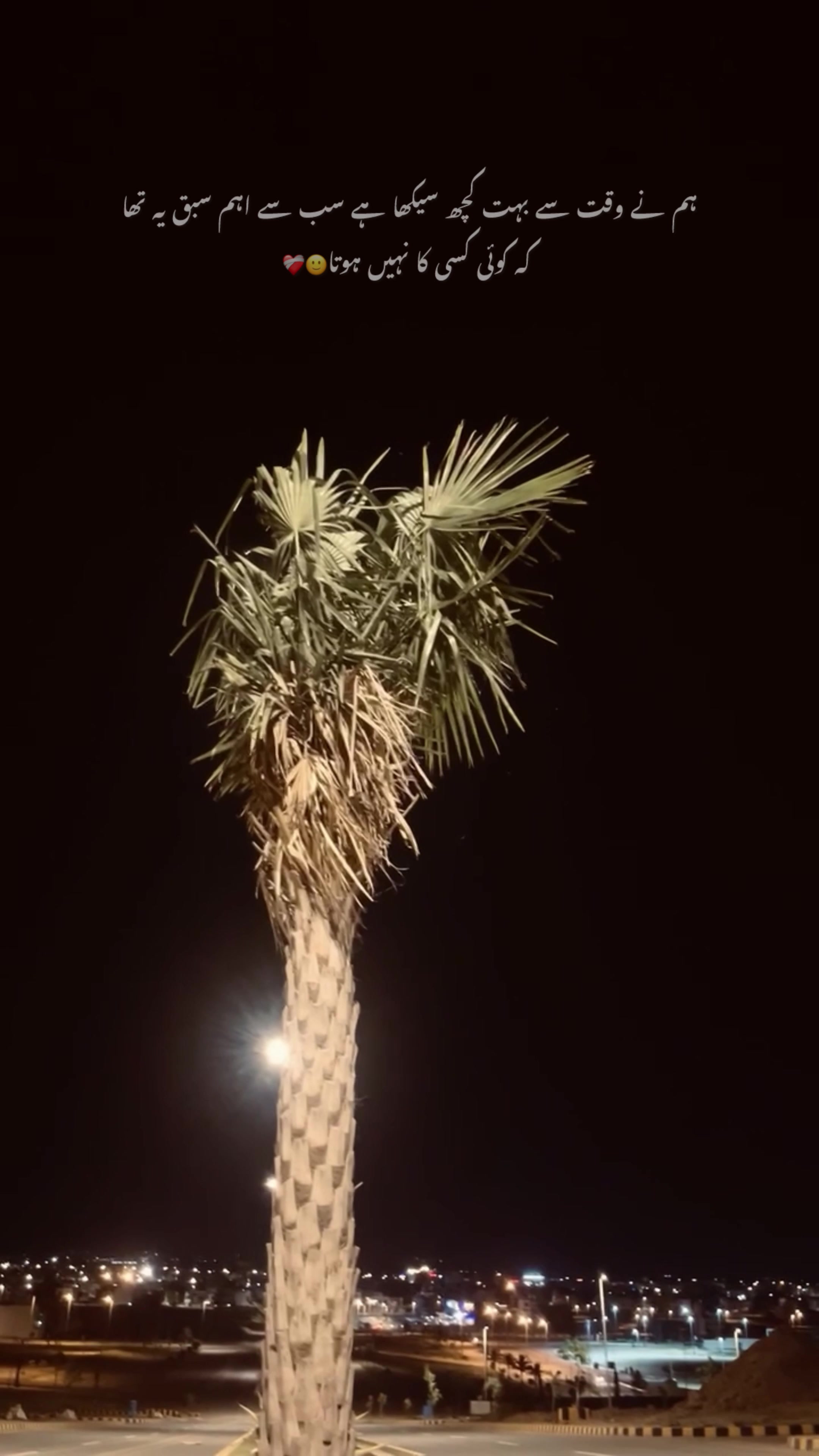@🌙
