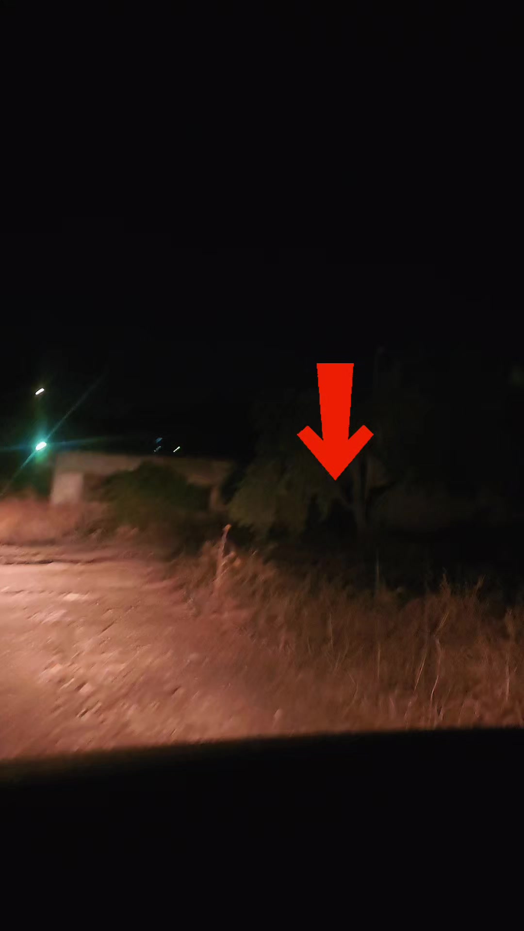 @فؤاد محاميد