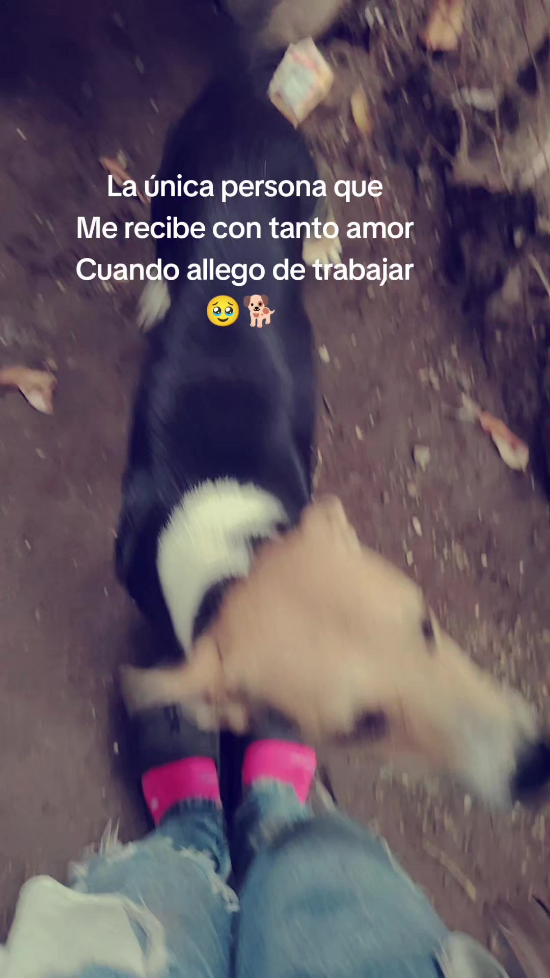 @Micaela_oficial__E__๐ฉถ๐
