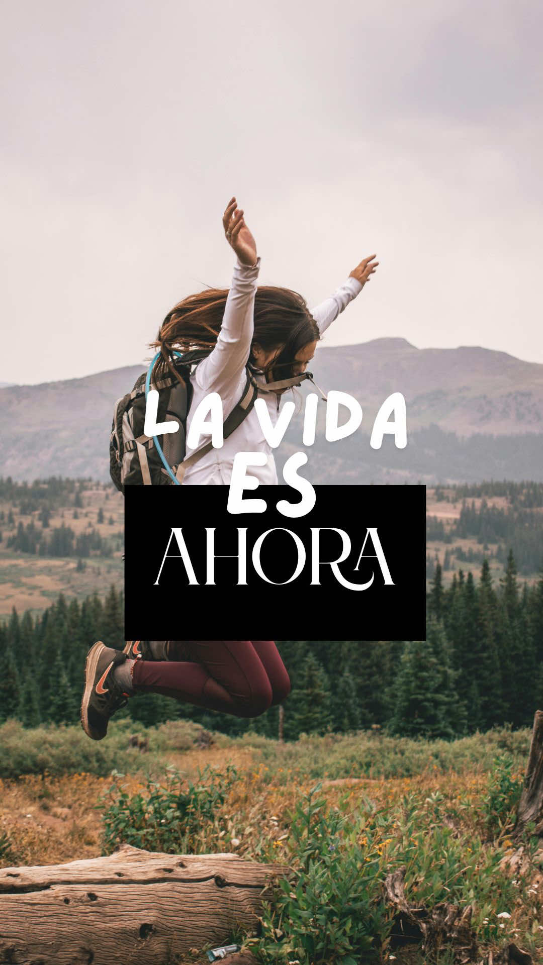 @versionlegendaria_