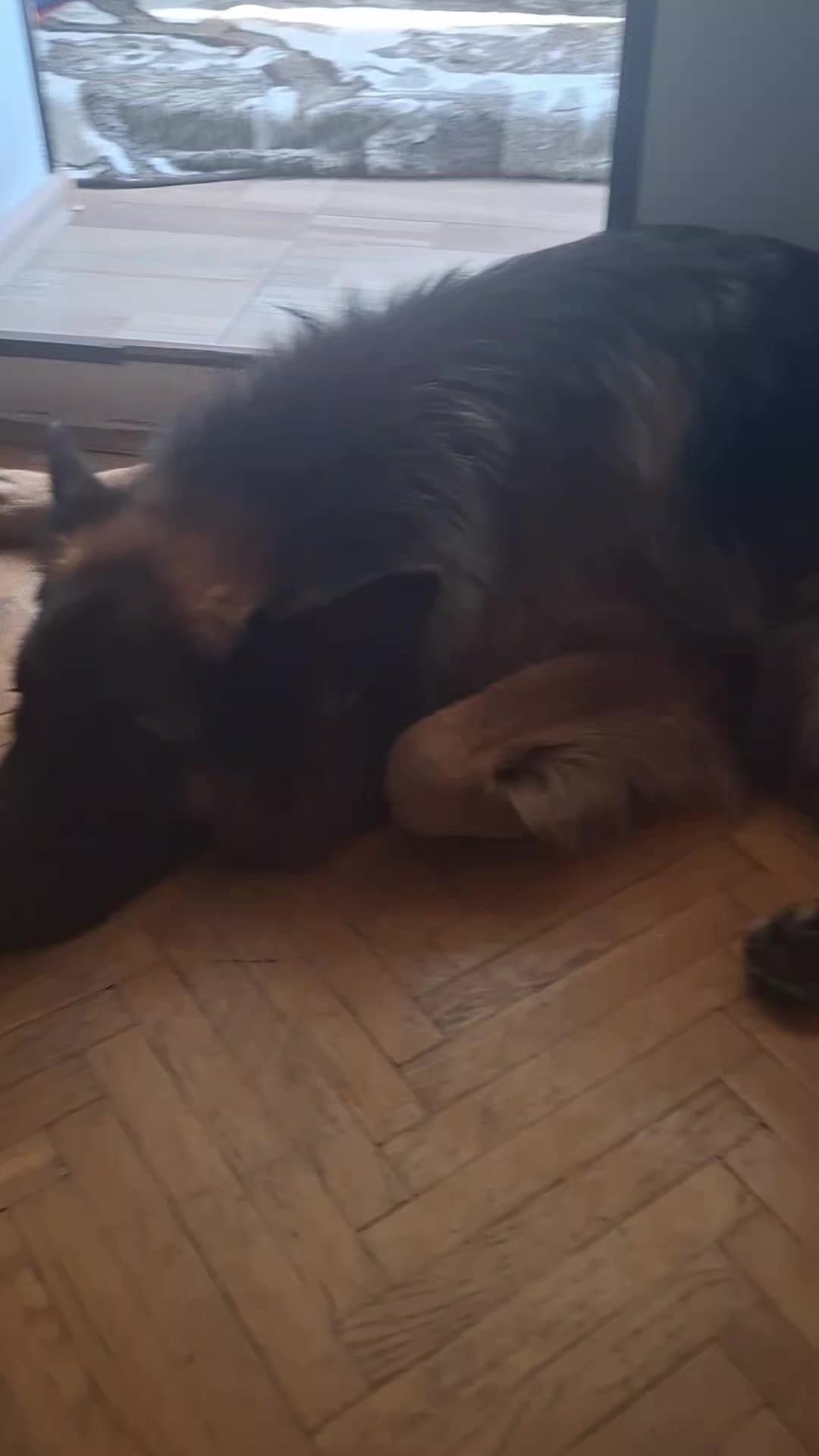 @МАТЬ ДРАКОНІВ🤣